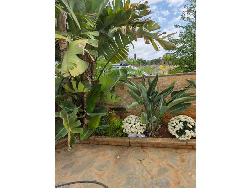 4 bedroom house in Peyia