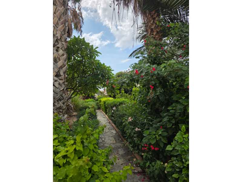 4 bedroom house in Peyia