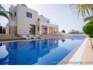 Luxury villa for long term rent 