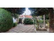 Spacious villa for long term rent in Mesoyi