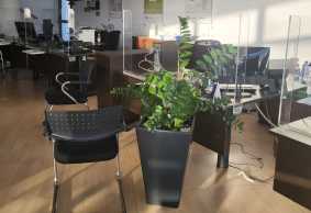 Offices for Rent in Paphos city