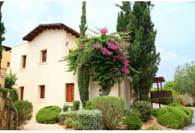 1 bedroom apartment in Aphrodite hills for long term rent