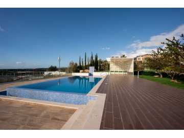 Luxury villa for long term rent in Kouklia